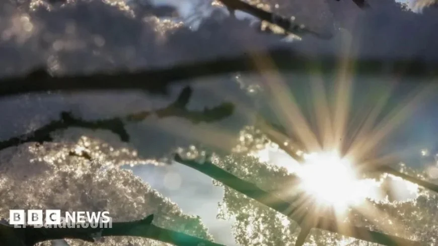 Bradford Schools Close, Waste Collection Delayed Due to Ice