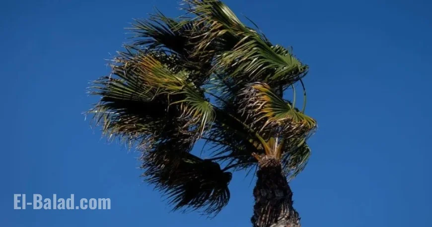 Santa Ana Winds to Intensify in Southern California This Thursday