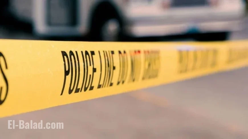 Minnesota Woman Killed in Suspected Shark Attack in US Virgin Islands