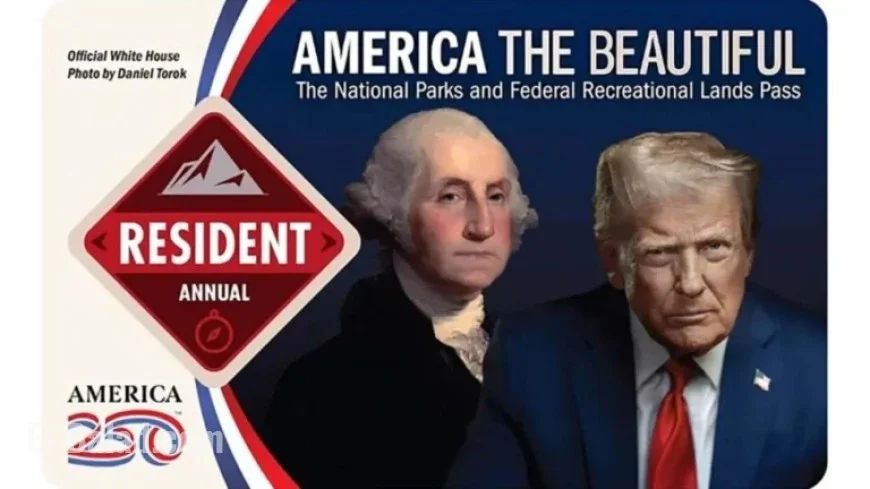 National Park Strengthens Rules to Prevent Defacement of Trump Pass Picture