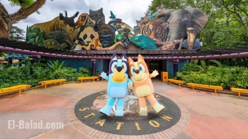 Bluey Experience Arrives at Disney’s Animal Kingdom: New Details and Timeline