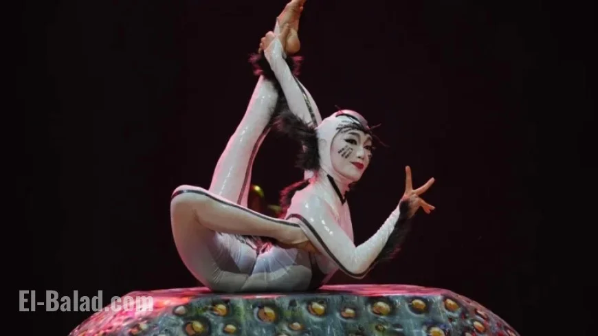 Cirque du Soleil Prepares for ‘Ovo’ Show on Insect Life Cycle