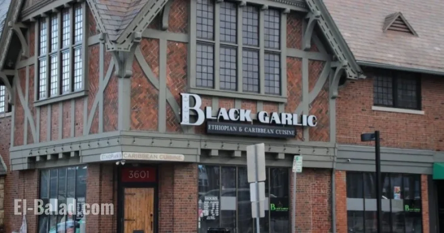 Guide to Dining Etiquette: Kansas City Restaurant Week 2026