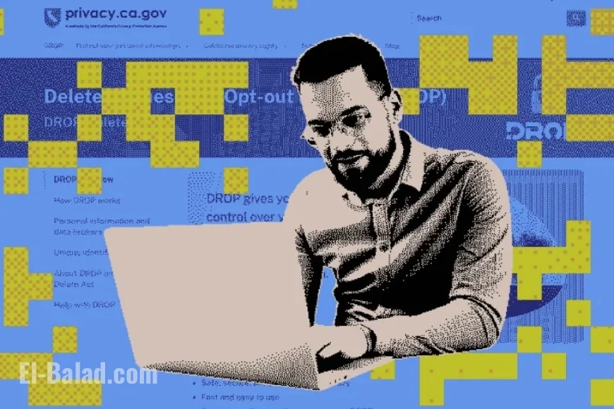 Californians Shield Personal Data from Hundreds of Brokers Simultaneously