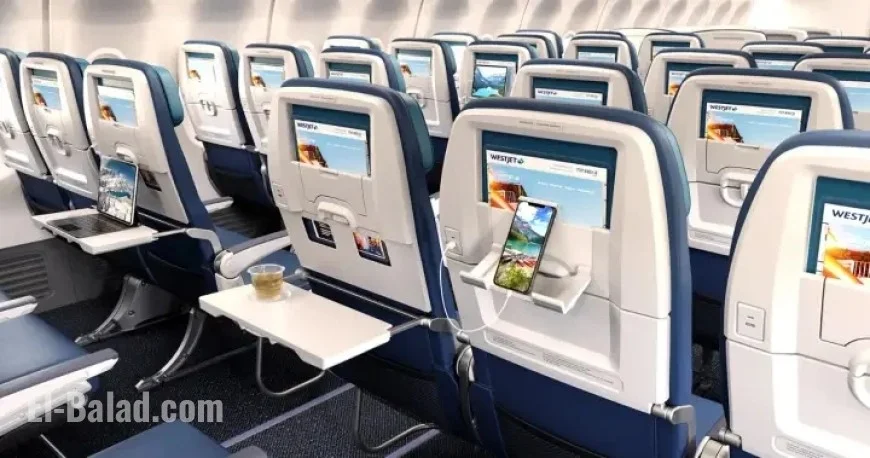 WestJet Executives Test Tight Seats Before Viral Video Controversy