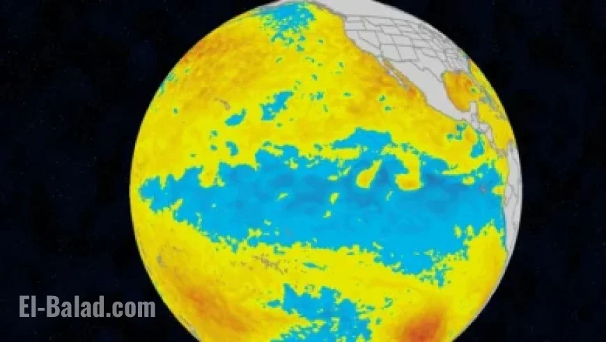 The Athletic’s NFL Playoff Predictions: Who Will Win Super Bowl?