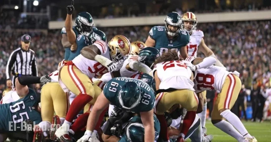 NFL Wild Card Round: Straight Up, Spread, and Survivor Picks