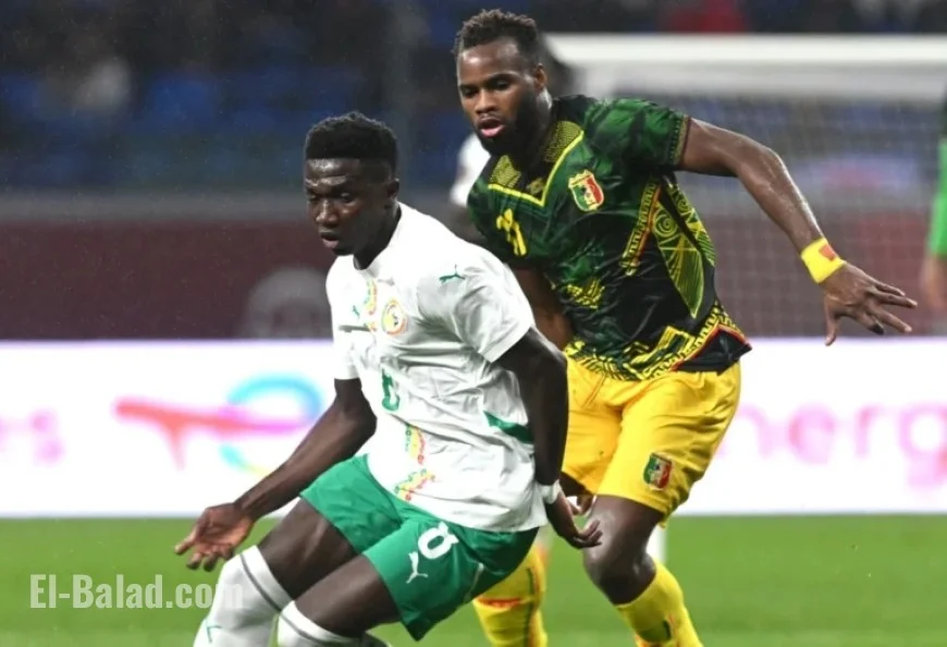 AFCON 2025: Discover the Semi-Finalist Nations