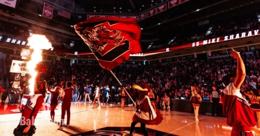 Gamecocks Host No. 18/20 Georgia on Saturday