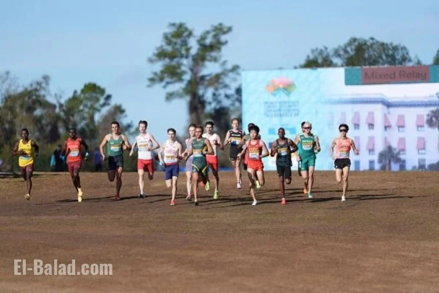Hull Secures Australia’s Mixed Relay Gold in Tallahassee, Ending Kenya’s Streak