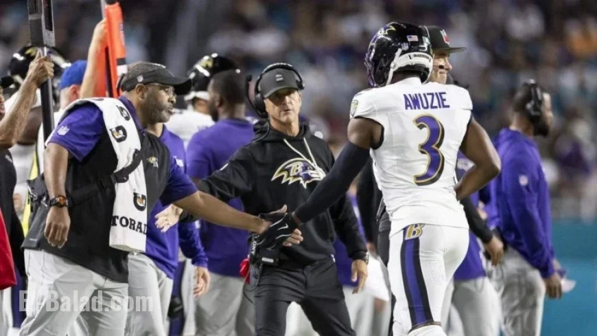 Dolphins Seek Harbaugh, Kubiak, Saleh, Shula After GM Appointment