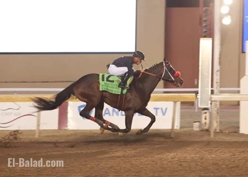 Express Kid Commands $800,000 at F-T Flash Sale