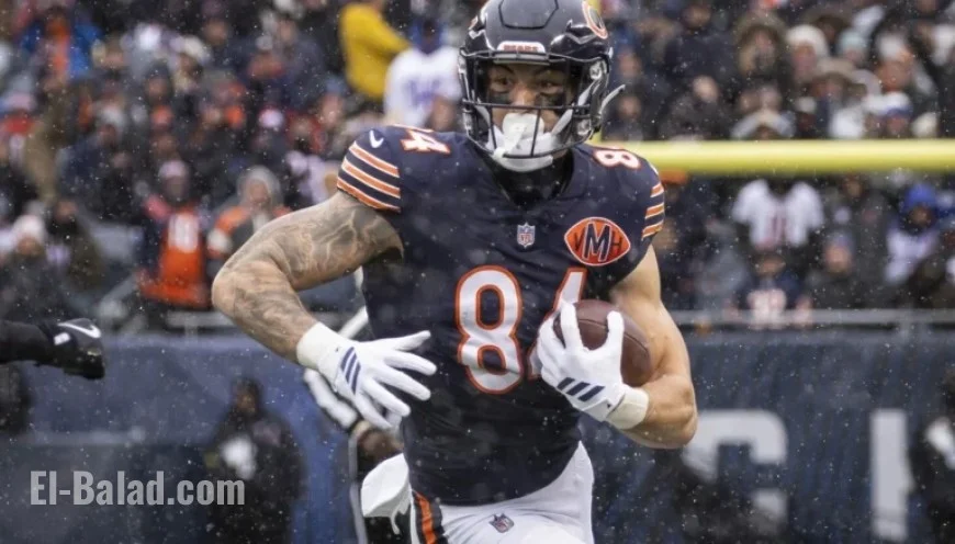 Is Bears Rookie Colston Loveland Their Top Receiving Threat for Playoffs?
