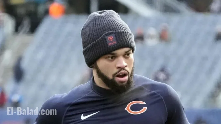 Alina Dazzles in Bears Colors at Packers Playoff Game