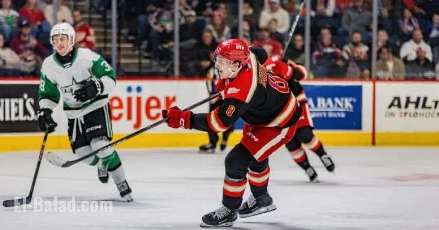 Grand Rapids Griffins Face Defeat