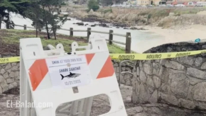 Top AI Stocks to Buy Now and Hold for the Long Term