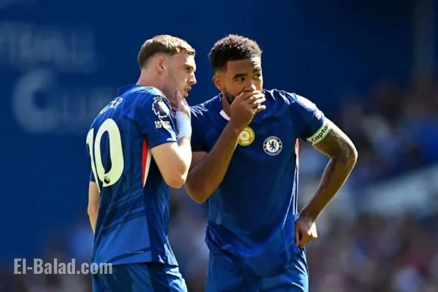 Rosenior Shares Updates on Gusto, James, and Palmer’s Progress