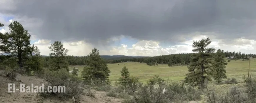 Friends Attempt Affordable Housing Project in Pagosa Springs: Realistic Vision or Dream?