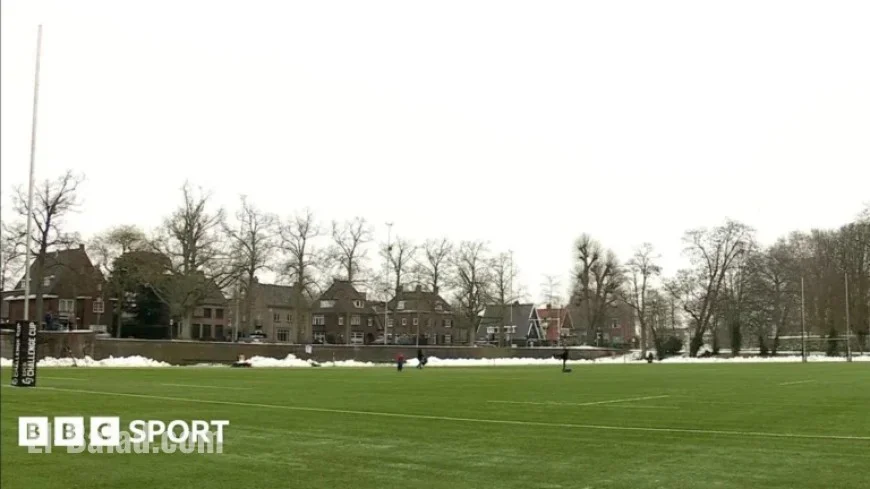 Cheetahs vs Ulster Challenge Cup Match Canceled in Netherlands