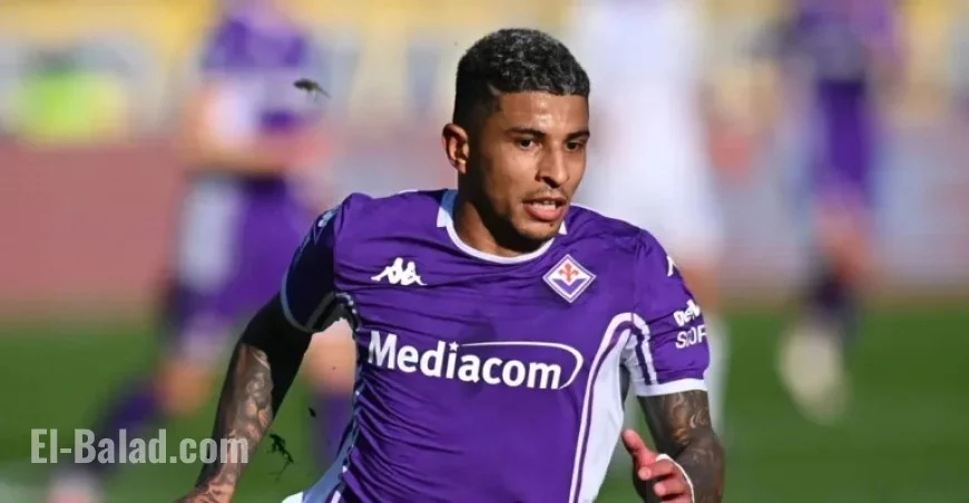 Fiorentina Faces AC Milan: Match Preview