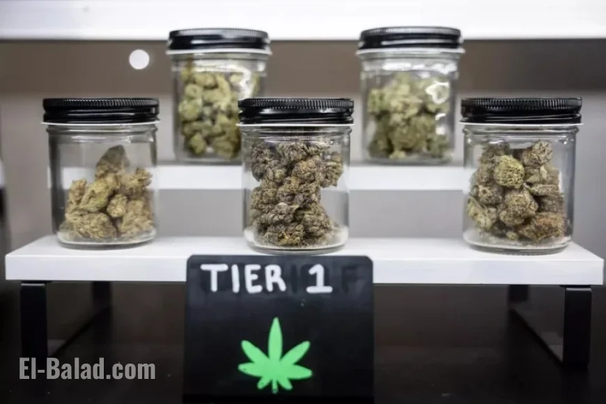 Texas to Prohibit Smokeable Cannabis Starting January 25