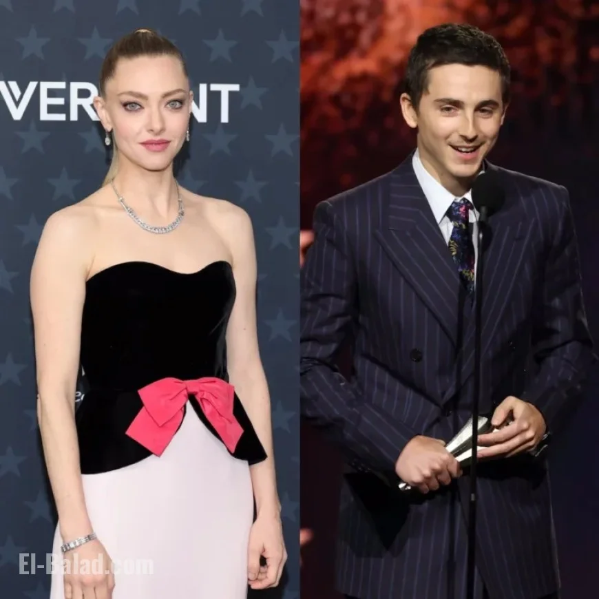 Amanda Seyfried Mistakes Timothée Chalamet’s Kylie Jenner Shoutout for a Foundation