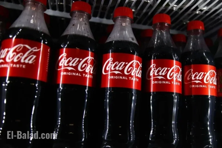 Top Dividend Stocks to Buy in 2026 for Lifetime Passive Income