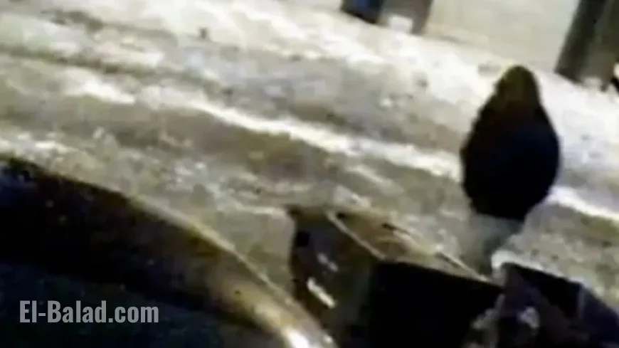 Ex-Husband Michael McKee Charged with Monique Tepe’s Death