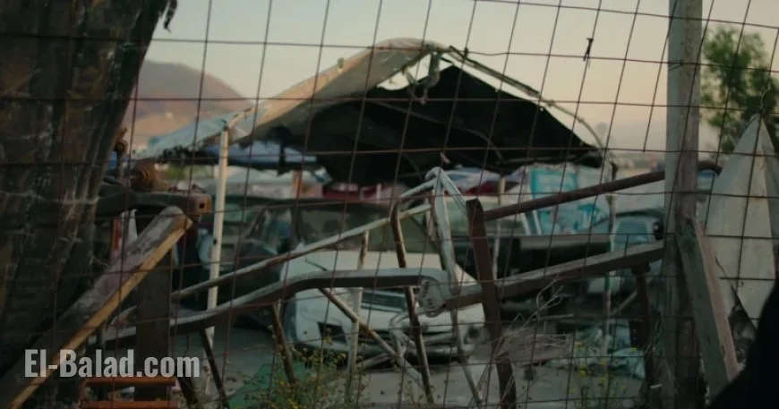 Stolen U.S. Cars Smuggled to Mexico, Recovery Nearly Impossible