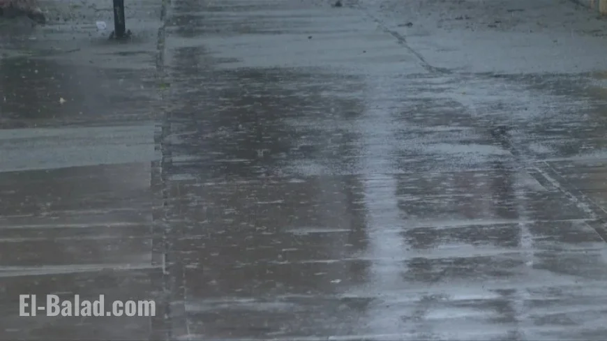 Vancouver Island: Heavy Rainfall Warning Issued for Inland and East Regions