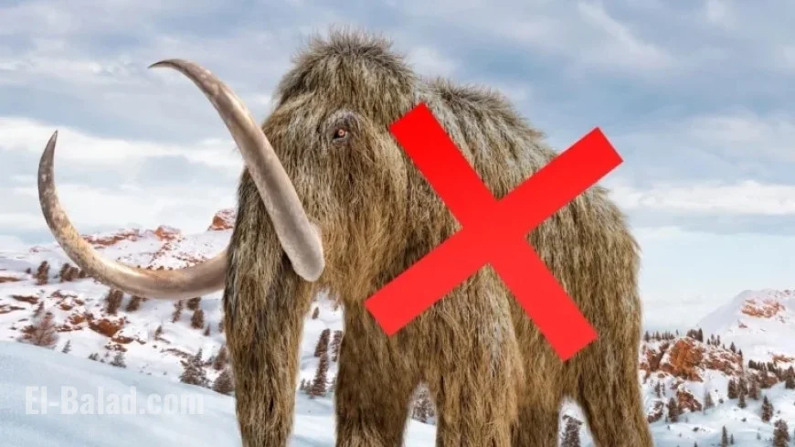 Museum’s ‘Mammoth’ Bones Revealed to Belong to Different Species After 70 Years