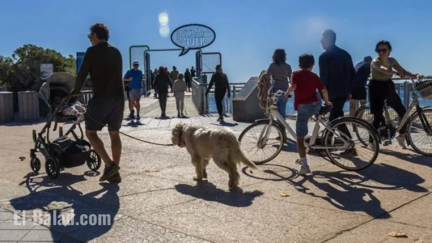 Miami Weather Update: Will You Need to Bundle Up Soon?