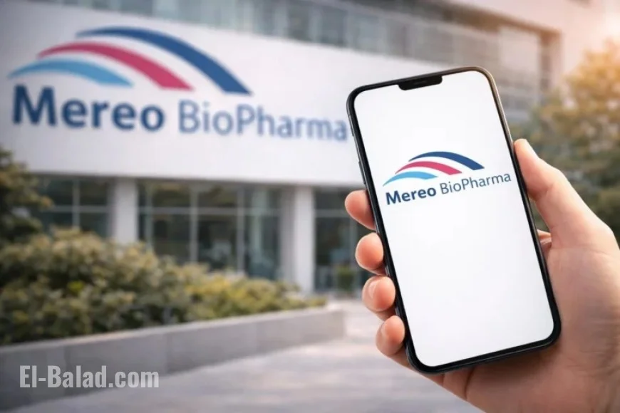Mereo BioPharma Stock Stabilizes Ahead of JPM Healthcare Conference