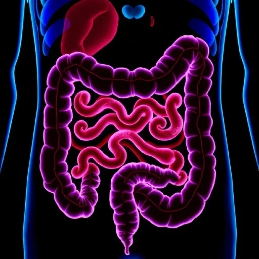 Tucatinib-Trastuzumab Proves Effective for HER2+ Metastatic Colorectal Cancer