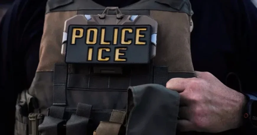 Manitoba PC Board Member Suspended for ICE Social Media Post