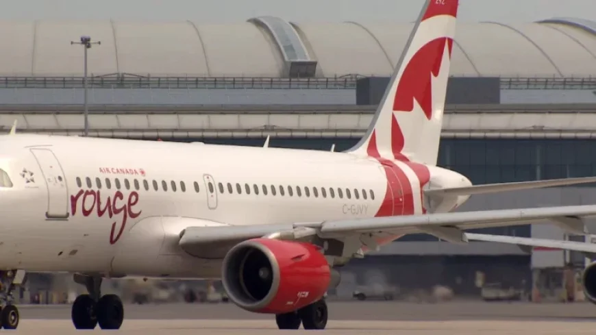 Trapped Baggage Worker Heard Banging, Screaming Before Takeoff