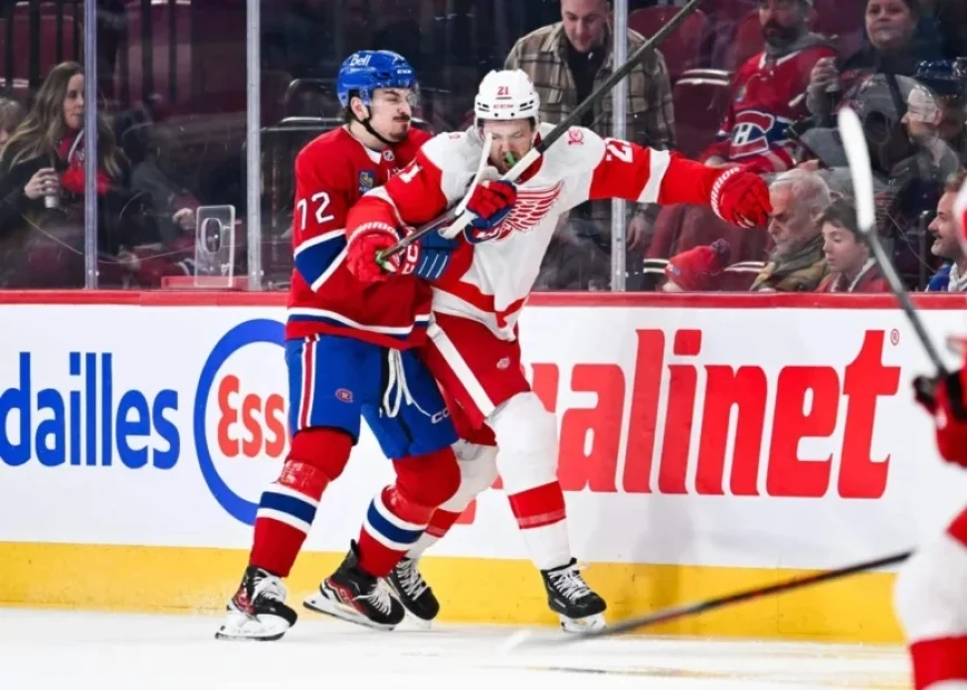 Red Wings Defeat Canadiens, Yet Arber Xhekaj Shines in Performance