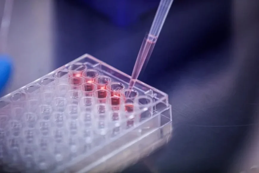 Abivax Shares Dip Amid Intense Takeover Speculation