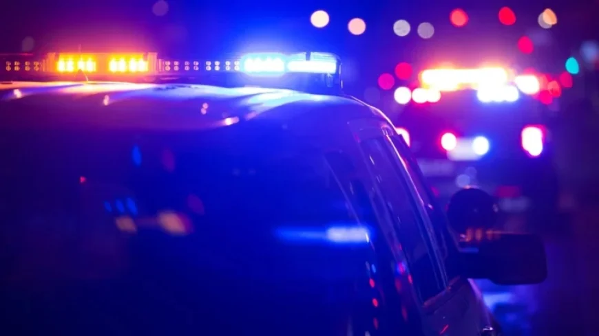 Police Identify Katherine Baransky as Pedestrian Killed at Cumberland and Peterson