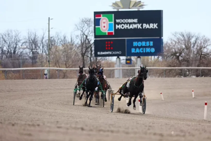 Double Carryover Boosts Pick-6 Prize at Woodbine Mohawk Park Tonight