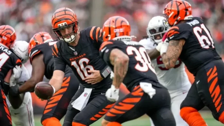 Week 12 Betting Odds and Tips: Joe Flacco Props in Bengals vs. Patriots