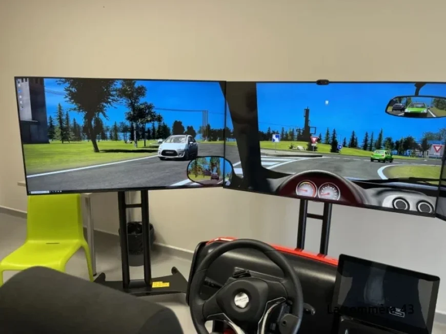 Driving Simulator Aids Stroke Recovery at Emile-Roux Hospital