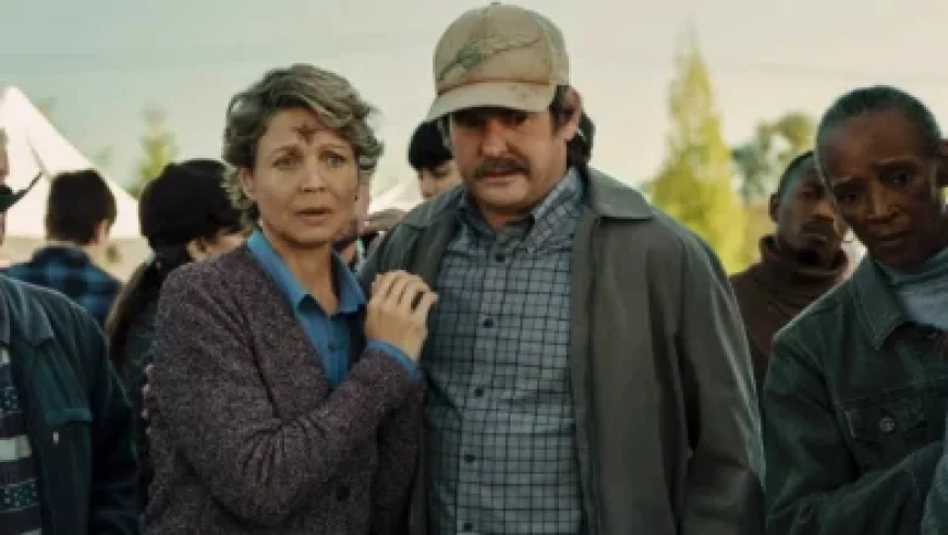 Thomas Frank Updates on Richarlison in Latest Team News