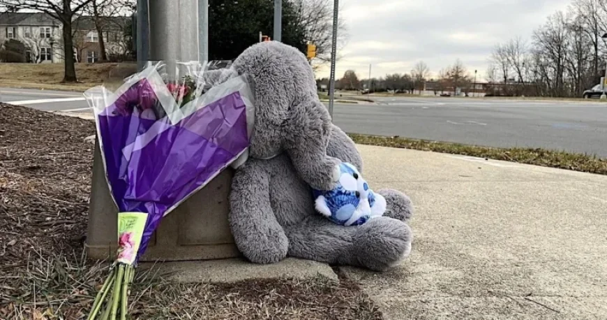 School Vehicle Kills Student Near Stone Bridge High School