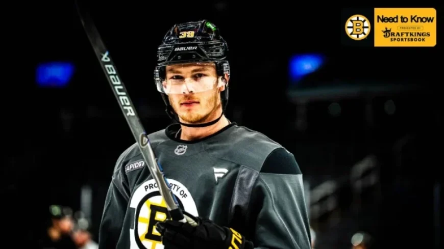 Bruins Battle Red Wings: Key Match Details