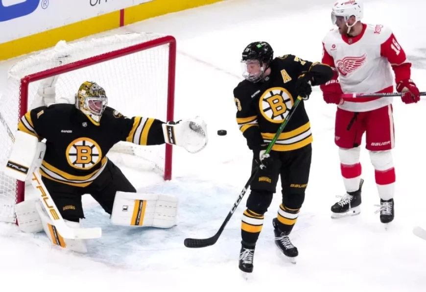 Jeremy Swayman Secures Season’s First Shutout in Bruins’ Victory Over Red Wings