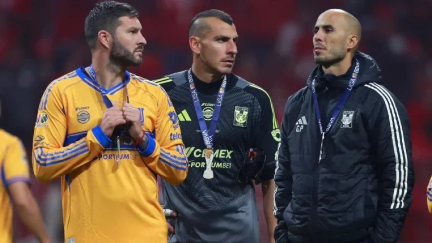 Nahuel a Aquino: “Melons Align Themselves in the Carts”