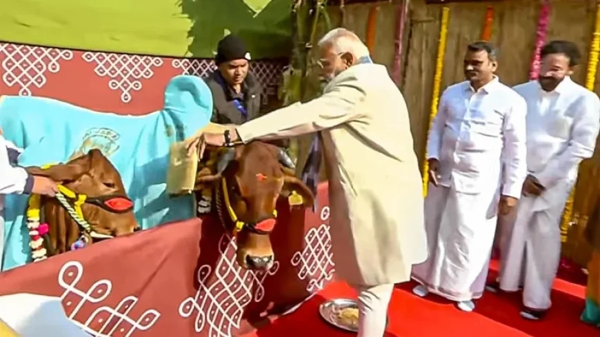 PM Modi: Pongal, a Global Festival Celebrated by Tamils Worldwide