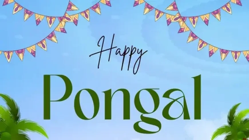 Delightful Pongal 2026 Wishes: Images, Quotes, Messages, and WhatsApp Greetings