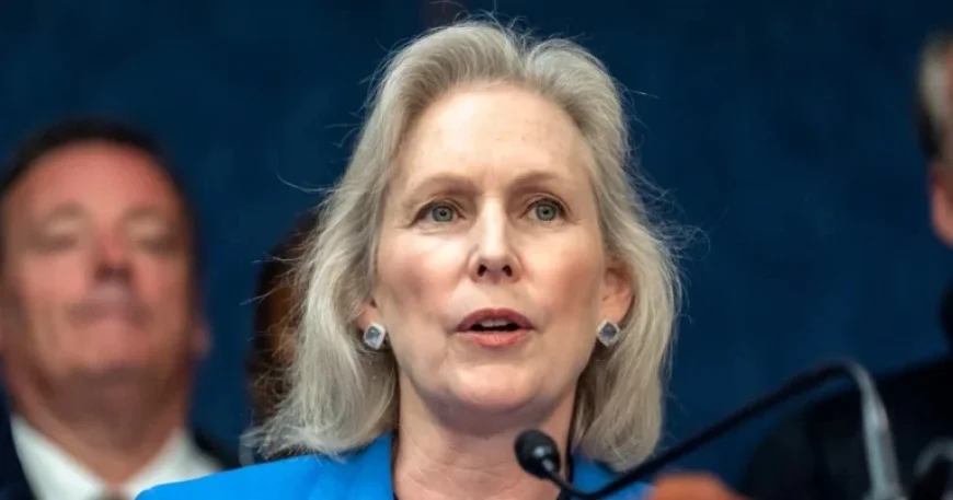 Democrats Chart Diverse Paths to Senate Majority Through Republican Strongholds